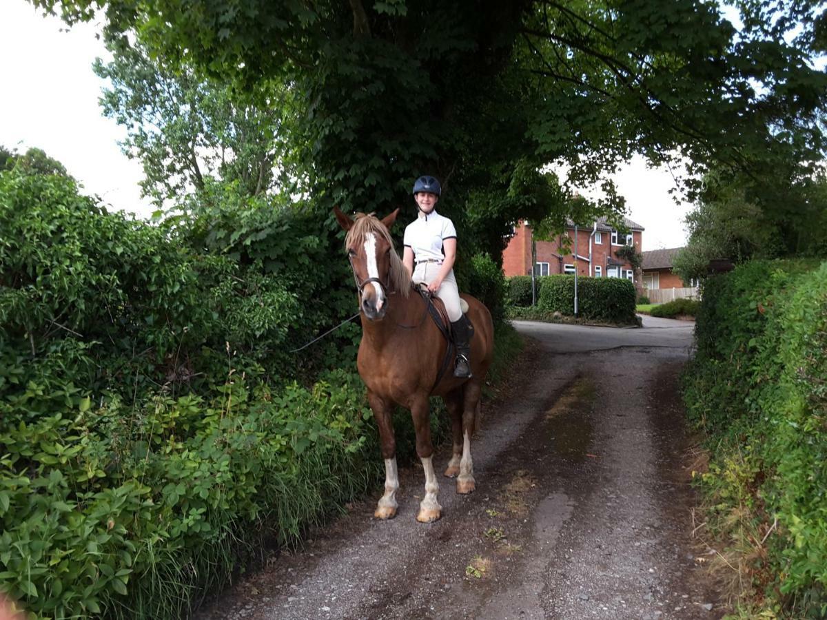 Pine Tree Lodge, Bridgnorth Bagian luar foto
